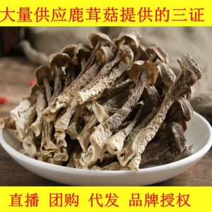 鹿茸菇干貨500克無硫煲湯餐飲火鍋食材土特產農副產品食用菌批發