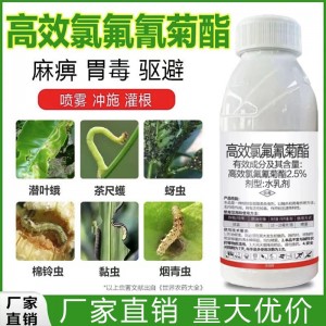 高效氯氟氰菊酯殺蟲劑水乳劑防治茶樹蔬菜果樹青蟲蚜蟲茶 尺蠖農藥